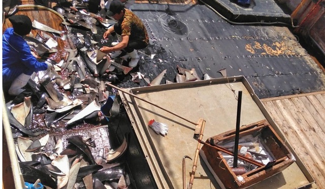 Indonesian fishermen accused Chinese fishing vessels of mistreating and exhausting their work - 2