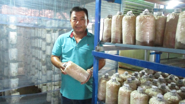 Quảng Nam: U40 xứ trồng nấm sò thu tiền rủng rỉnh quanh năm - 1 Quảng Nam: U40 xứ trồng nấm sò thu tiền rủng rỉnh quanh năm - 1