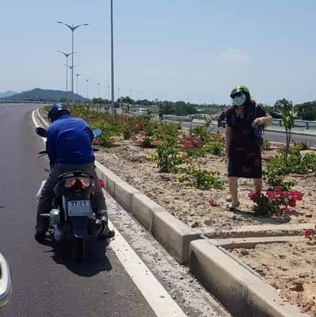 Thousands of confetti trees on the 4.4 billion national highway have been stolen - 3