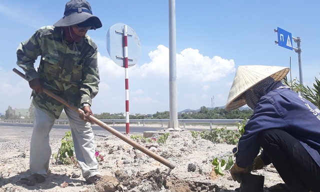 Thousands of original confetti on the 4.4 billion national highway have been stolen - 8