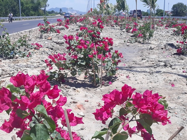 Thousands of original confetti on the 4.4 billion national highway have been stolen - 1