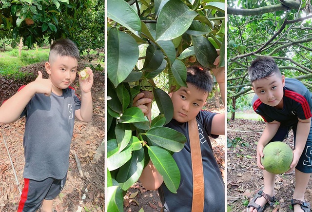 Vườn trái cây trĩu quả của gia đình diễn viên Lê Phương ở Tây Ninh - 5
