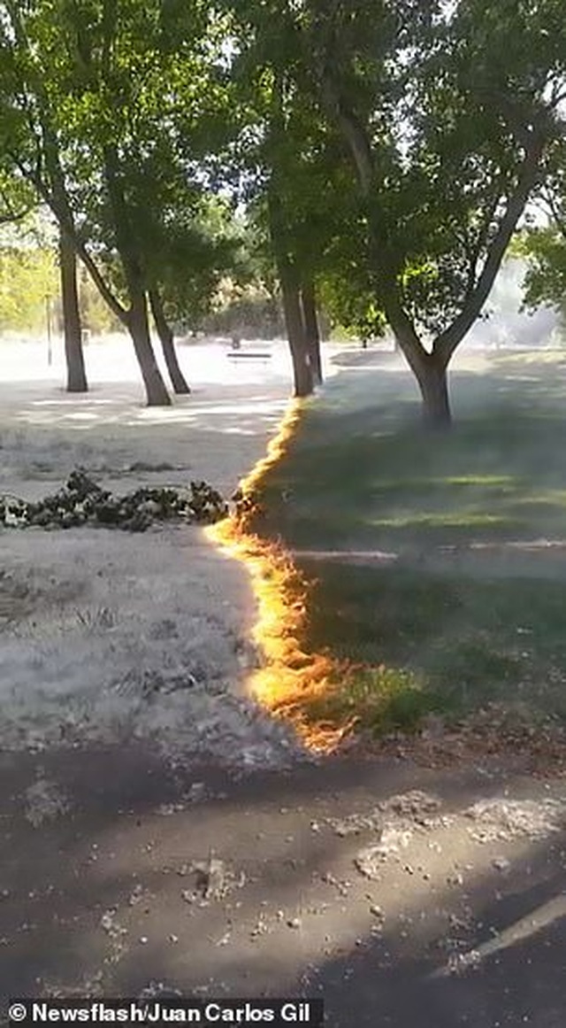 Kỳ lạ video “thảm lửa” quét qua công viên thu hút hơn 5 triệu lượt xem - 2 Kỳ lạ video “thảm lửa” quét qua công viên thu hút hơn 5 triệu lượt xem - 2