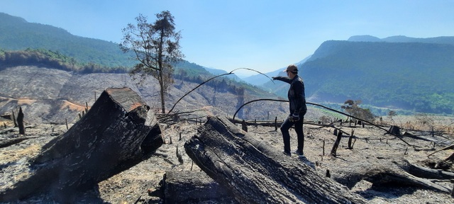 Vụ cháy hơn 32 ha rừng phòng hộ: Nghi án đốt rẫy gây cháy lan - 2