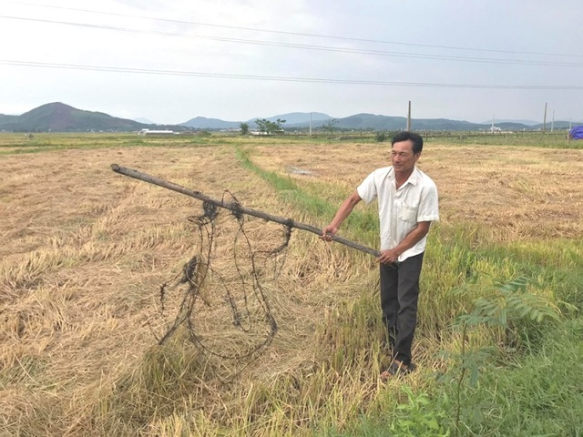 Máy gặt dính bẫy thép gai, cọc sắt, nghi kẻ xấu cố tình phá hoại - 2 Máy gặt dính bẫy thép gai, cọc sắt, nghi kẻ xấu cố tình phá hoại - 2