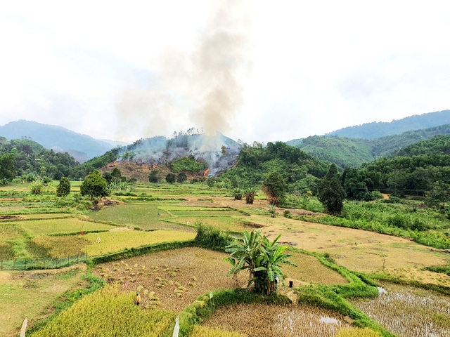 Vụ cháy hơn 32 ha rừng phòng hộ: Nghi án đốt rẫy gây cháy lan - 4