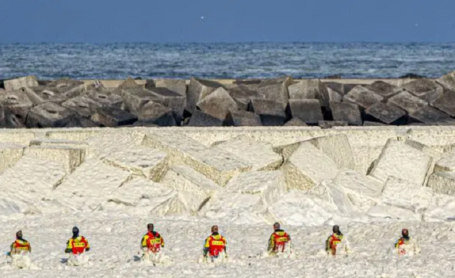 Bọt biển khổng lồ giết chết 5 người đi lướt sóng - Ảnh minh hoạ 2