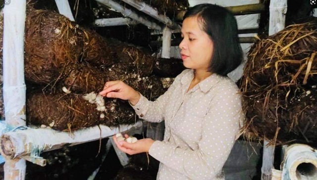 Định hướng nghề cho thanh niên dân tộc thiểu số tại Thừa Thiên Huế - 2 Định hướng nghề cho thanh niên dân tộc thiểu số tại Thừa Thiên Huế - 2