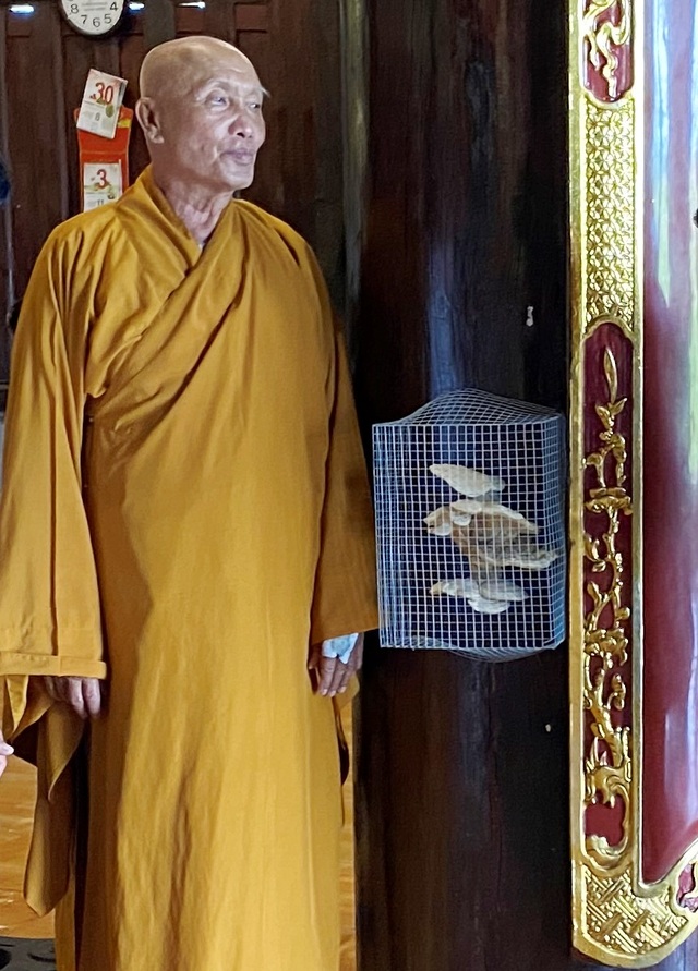 Nấm “lạ” mọc tại cột gỗ Thiền viện Trúc Lâm trị bệnh chỉ là đồn thổi - 2