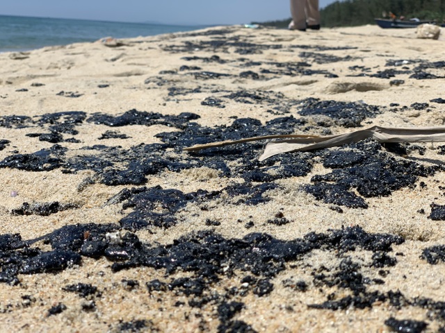 Vệt chất thải nghi là cặn dầu tràn vào bờ biển - 3