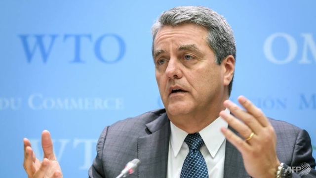 Tổng giám đốc WTO đột ngột từ chức - 1
