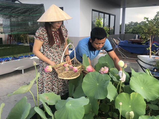 Doanh nhân 7x đào ao trồng sen đẹp hút hồn trên sân thượng 400m2 ở Sài Gòn - 2 Doanh nhân 7x đào ao trồng sen đẹp hút hồn trên sân thượng 400m2 ở Sài Gòn - 2