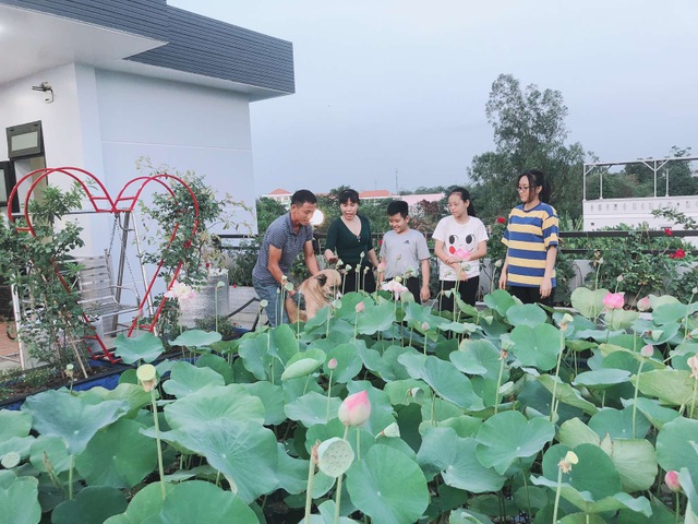 Doanh nhân 7x đào ao trồng sen đẹp hút hồn trên sân thượng 400m2 ở Sài Gòn - 6 Doanh nhân 7x đào ao trồng sen đẹp hút hồn trên sân thượng 400m2 ở Sài Gòn - 6