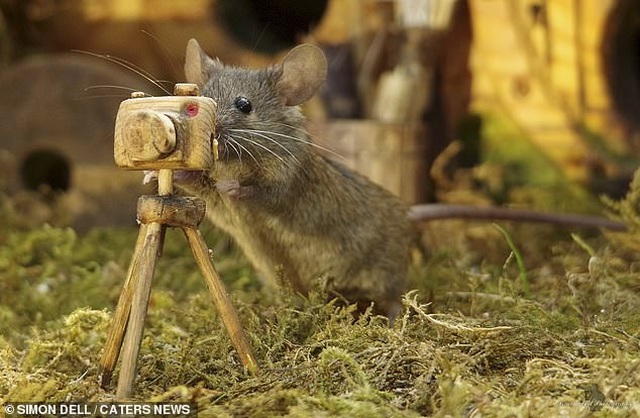 Chiêm ngưỡng bộ ảnh gây sốt chụp “ngôi làng của những chú chuột” - 8