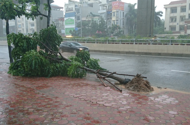 Ảnh hưởng rãnh áp thấp, chiều tối nay miền Bắc mưa giông - 1 Ảnh hưởng rãnh áp thấp, chiều tối nay miền Bắc mưa giông - 1