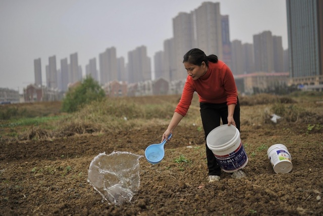 Cải cách ruộng đất ở Trung Quốc sẽ mở ra chu kỳ tăng trưởng kinh tế mới? - 1