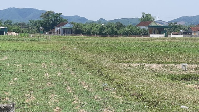 Đi thu hoạch lạc, cụ ông bị sét đánh tử vong - 1 Đi thu hoạch lạc, cụ ông bị sét đánh tử vong - 1