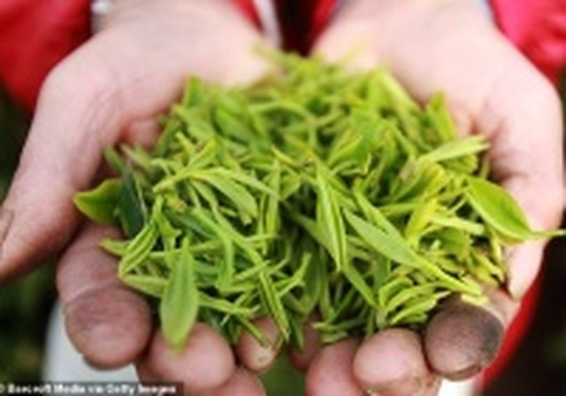 Bệnh ung thư nhanh chóng tìm tới nếu thường xuyên sử dụng các sản phẩm này - 2 Bệnh ung thư nhanh chóng tìm tới nếu thường xuyên sử dụng các sản phẩm này - 2