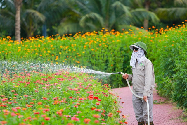 Cánh đồng hoa đẹp như cổ tích trong thành phố triệu cây xanh gần Hà Nội - 6 Cánh đồng hoa đẹp như cổ tích trong thành phố triệu cây xanh gần Hà Nội - 6