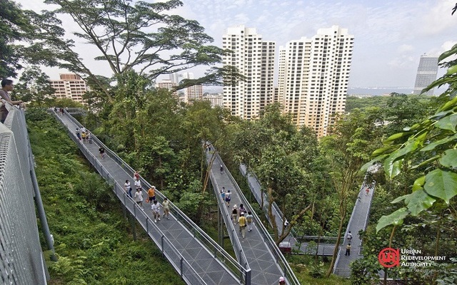 Singapore “làm nhà trong rừng”, người dân ra đường như vào công viên - 2 Singapore “làm nhà trong rừng”, người dân ra đường như vào công viên - 2