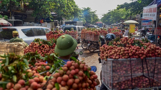 Quốc lộ “tử thần” cướp nhiều mạng người: Tình hình đã quá cấp bách! - 3 Quốc lộ “tử thần” cướp nhiều mạng người: Tình hình đã quá cấp bách! - 3
