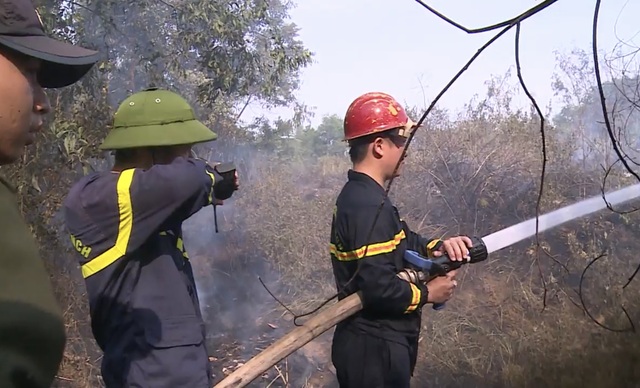 Đà Nẵng: Cháy rừng keo gần sân bay - 4 Đà Nẵng: Cháy rừng keo gần sân bay - 4