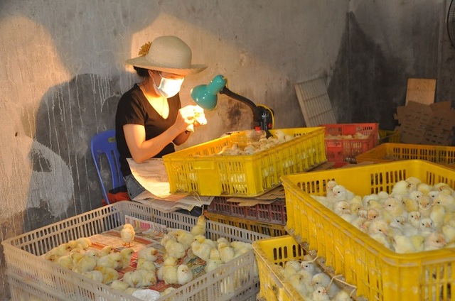 Nghề lạ mỗi ngày kiếm cả triệu đồng nhưng luôn khát người làm ở Hà Nội - 1 Nghề lạ mỗi ngày kiếm cả triệu đồng nhưng luôn khát người làm ở Hà Nội - 1