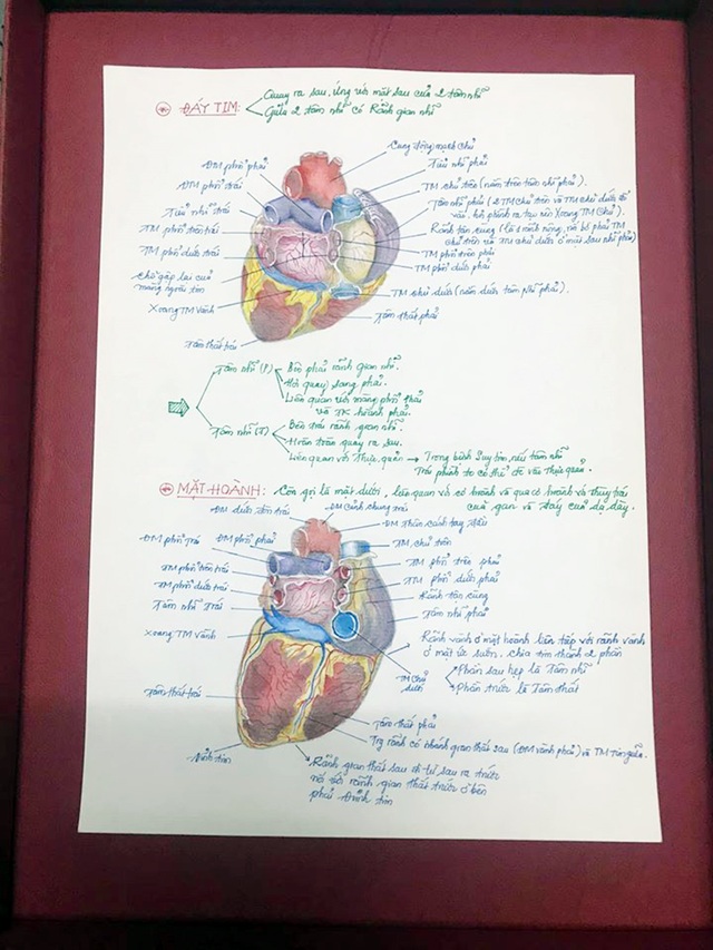 Nam sinh có biệt tài vẽ giải phẫu cơ thể người chi tiết khó tin - 10