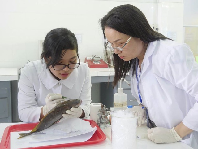 ts-binh-1590111745969.jpg