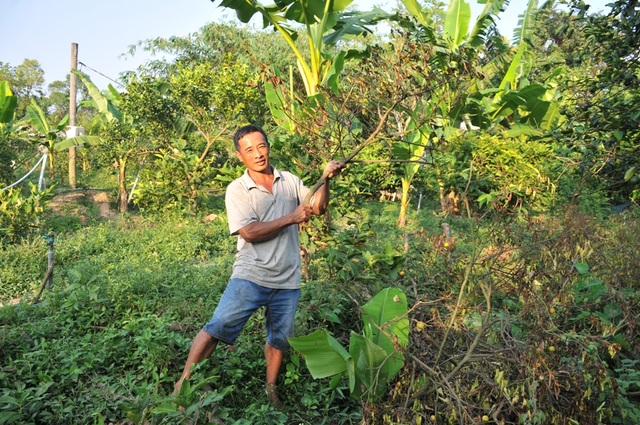 Giao thanh tra tỉnh Đồng Tháp làm rõ vụ chuyển 16 thửa đất trong 1 ngày - 2 Giao thanh tra tỉnh Đồng Tháp làm rõ vụ chuyển 16 thửa đất trong 1 ngày - 2
