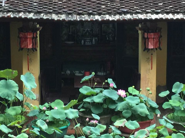 Nhà gỗ cổ “độc nhất” Bắc Bộ, bao quanh sân là vườn sen thơm ngát - 2 Nhà gỗ cổ “độc nhất” Bắc Bộ, bao quanh sân là vườn sen thơm ngát - 2