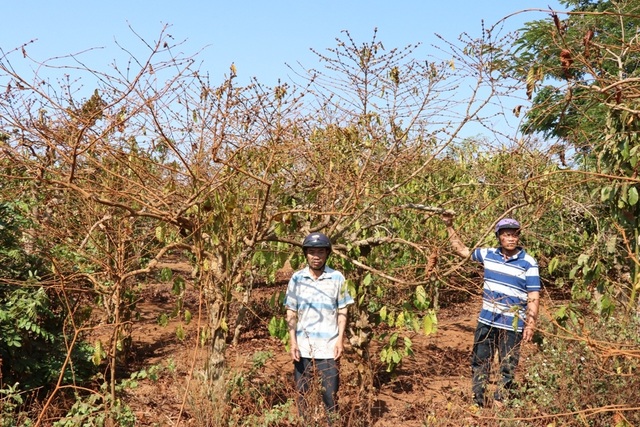 Chấn chỉnh lãnh đạo huyện vì không tiếp dân khiếu nại - 2 Chấn chỉnh lãnh đạo huyện vì không tiếp dân khiếu nại - 2