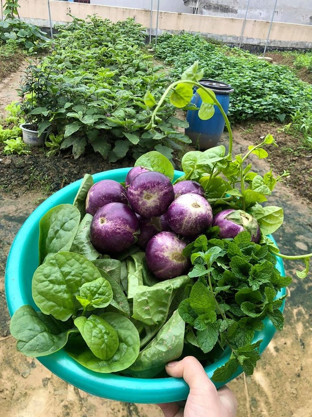 Mẹ đảm 8x ở Bắc Giang đổ đất làm vườn trên sân thượng “tốt như nông trại” - 6