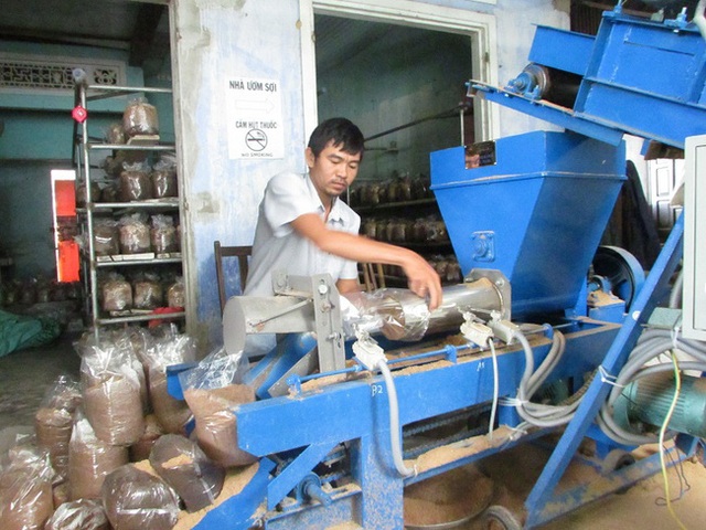 Ông chủ hợp tác xã nghiện... nấm - 1 Ông chủ hợp tác xã nghiện... nấm - 1