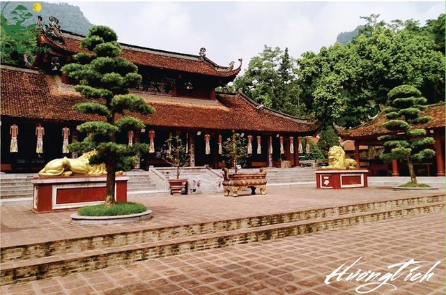 Tùng La Hán phong cách vườn Nhật đang thịnh hành - 3 Tùng La Hán phong cách vườn Nhật đang thịnh hành - 3