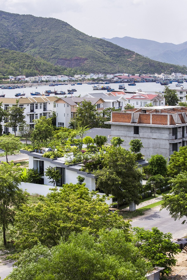 Biệt thự “độc nhất, vô nhị” trồng cả rừng cây trên mái nhà ở Nha Trang - 1 Biệt thự “độc nhất, vô nhị” trồng cả rừng cây trên mái nhà ở Nha Trang - 1