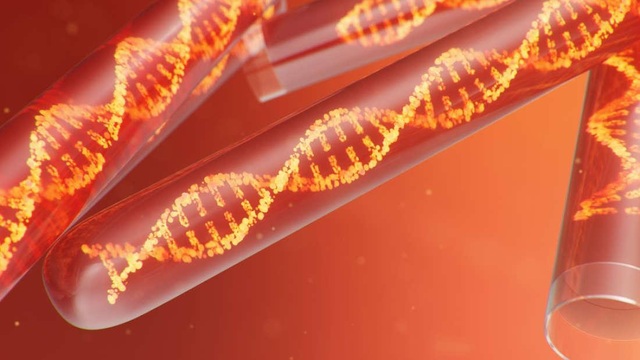 Tìm thấy bộ gen HIV dài nhất, cổ nhất từng được biết đến - 1 Tìm thấy bộ gen HIV dài nhất, cổ nhất từng được biết đến - 1