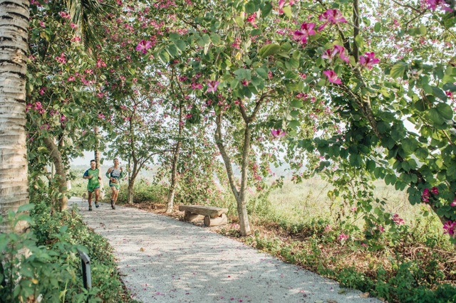 Những con đường trốn nắng ngập cây xanh đẹp mê mẩn ngay gần Hà Nội - 12 Những con đường trốn nắng ngập cây xanh đẹp mê mẩn ngay gần Hà Nội - 12
