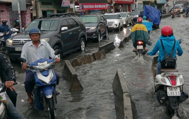 Cây đổ, đường ngập trong cơn mưa chiều cuối tuần - 2 Cây đổ, đường ngập trong cơn mưa chiều cuối tuần - 2