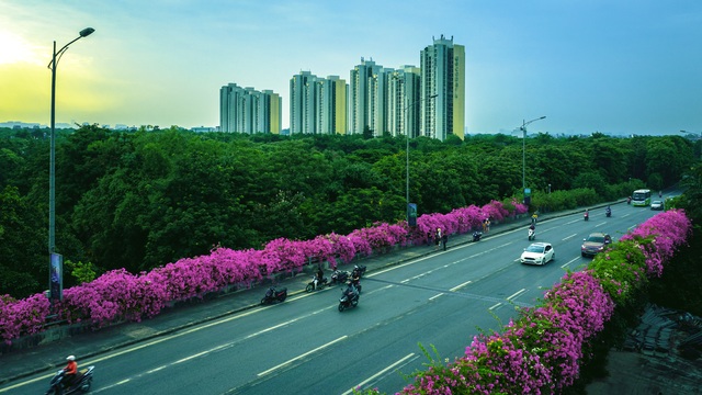 Phát sốt” với con đường hoa giấy đẹp quên lối về ngay gần Hà Nội - 2 Phát sốt” với con đường hoa giấy đẹp quên lối về ngay gần Hà Nội - 2