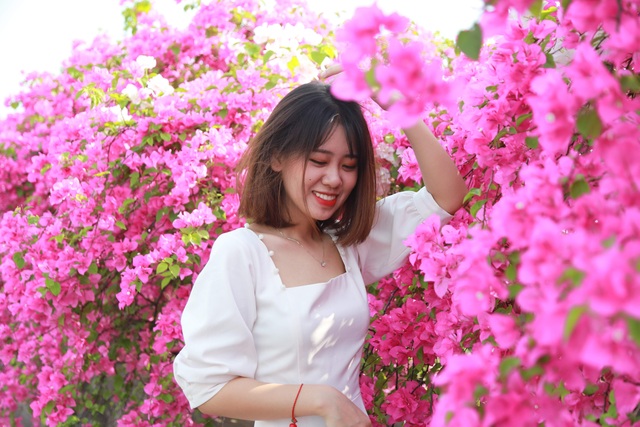 Phát sốt” với con đường hoa giấy đẹp quên lối về ngay gần Hà Nội - 8 Phát sốt” với con đường hoa giấy đẹp quên lối về ngay gần Hà Nội - 8