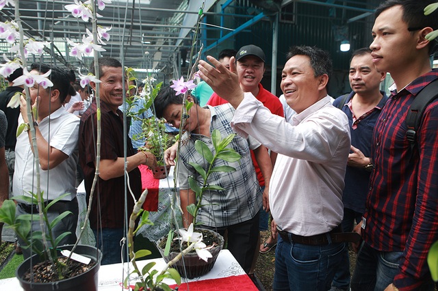 Chiêm ngưỡng những giỏ hoa lan đột biến hiếm có giá hàng trăm triệu - 2 Chiêm ngưỡng những giỏ hoa lan đột biến hiếm có giá hàng trăm triệu - 2