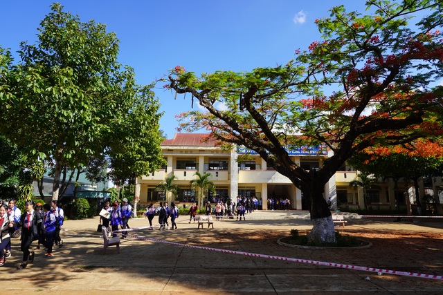 Sợ nguy hiểm cho học sinh, nhà trường căng dây chắn 2 cây phượng lâu năm - 3 Sợ nguy hiểm cho học sinh, nhà trường căng dây chắn 2 cây phượng lâu năm - 3