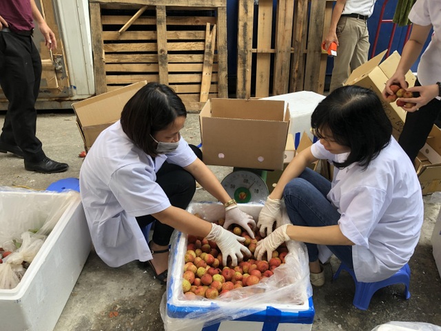 Đề xuất cơ chế đặc biệt cho chuyên gia Nhật sang kiểm tra quả vải Việt Nam - 2 Đề xuất cơ chế đặc biệt cho chuyên gia Nhật sang kiểm tra quả vải Việt Nam - 2