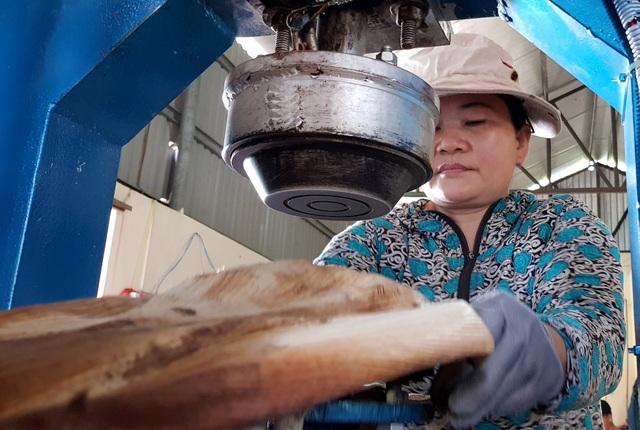Kiếm trăm triệu từ mo cau.jpg Kiếm trăm triệu từ mo cau.jpg