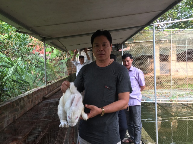 Trồng cây “rau vua”, nuôi con đặc sản, nông dân nhanh giàu - 1 Trồng cây “rau vua”, nuôi con đặc sản, nông dân nhanh giàu - 1