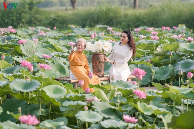 Đẹp nao lòng mùa sen tháng 6 Hà Nội - 18 Đẹp nao lòng mùa sen tháng 6 Hà Nội - 18