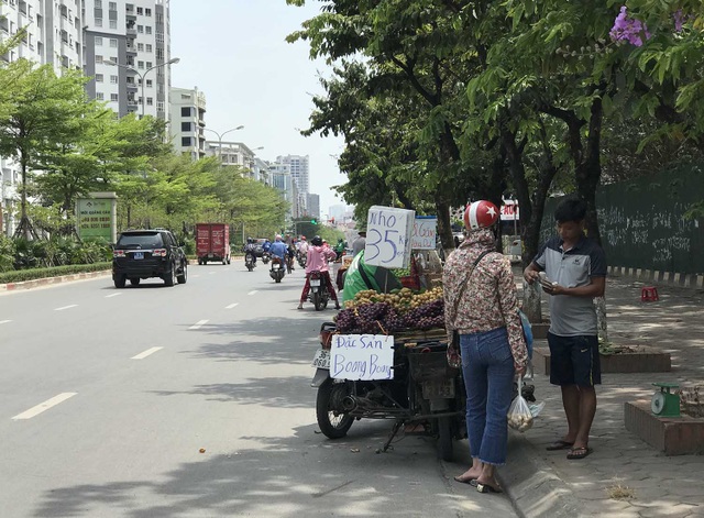 Hoa quả siêu rẻ tràn vỉa hè: Người tiêu dùng cẩn thận tránh sập bẫy - 6 Hoa quả siêu rẻ tràn vỉa hè: Người tiêu dùng cẩn thận tránh sập bẫy - 6