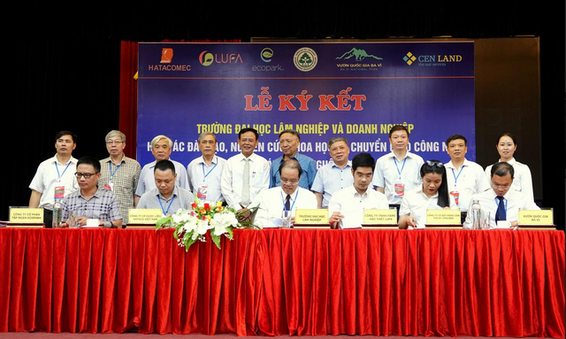 Cần đưa phát triển nguồn nhân lực ngành Lâm nghiệp vào tầm chiến lược - 3 Cần đưa phát triển nguồn nhân lực ngành Lâm nghiệp vào tầm chiến lược - 3