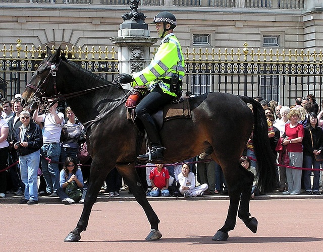 Các đội cảnh sát kỵ binh trên thế giới - Ảnh minh hoạ 4